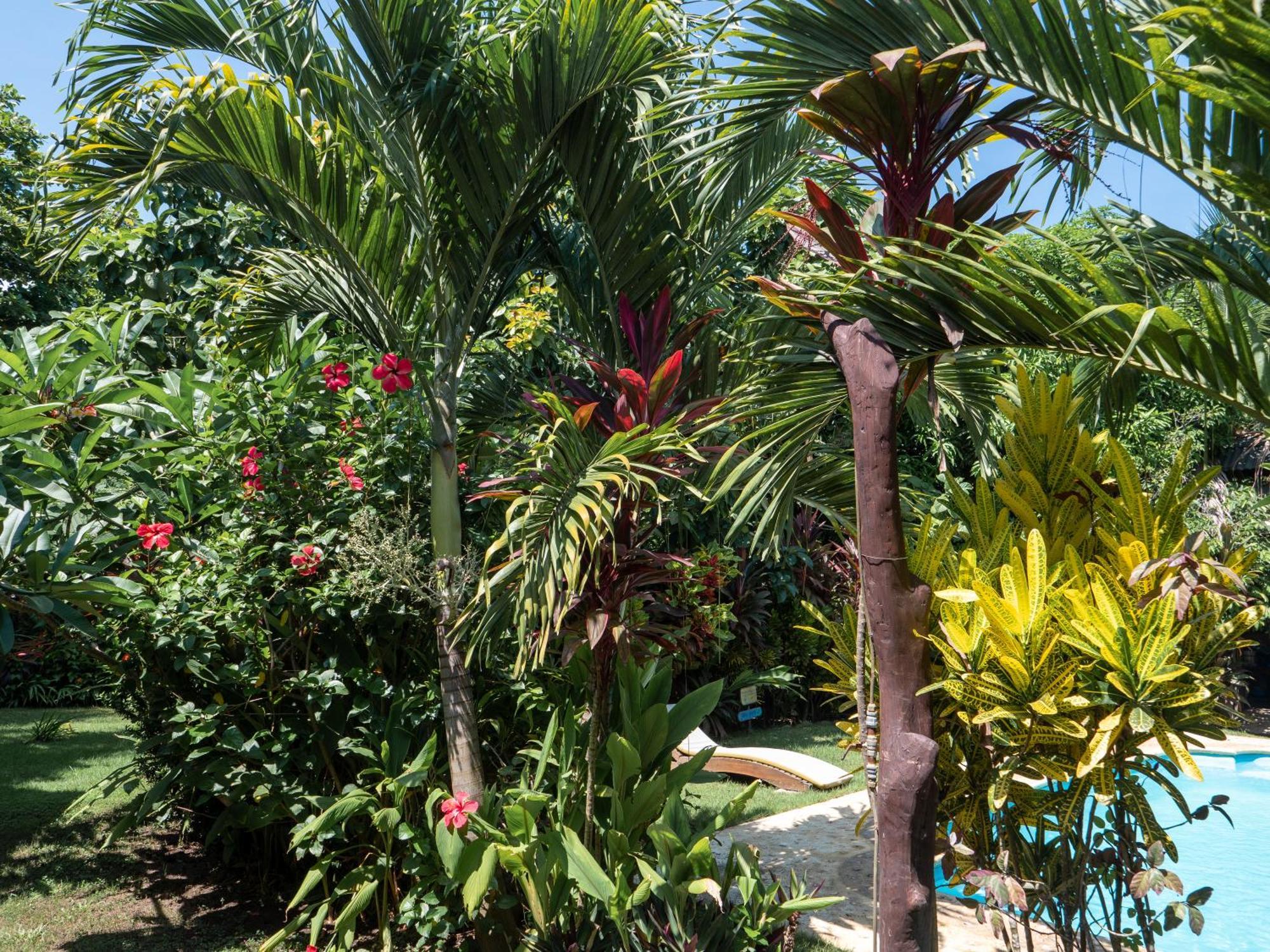 Nuba Boutique Hostel Palomino Ngoại thất bức ảnh