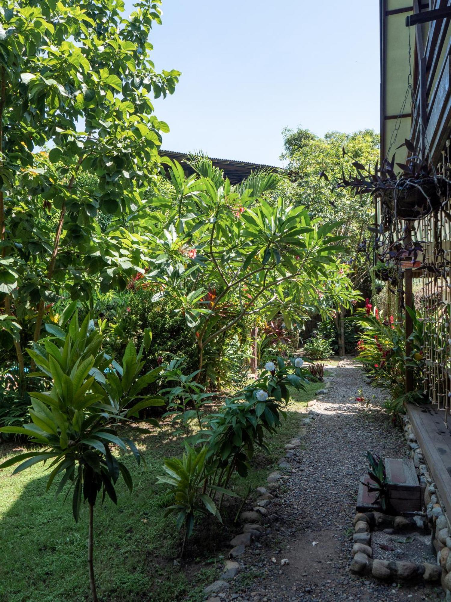 Nuba Boutique Hostel Palomino Ngoại thất bức ảnh