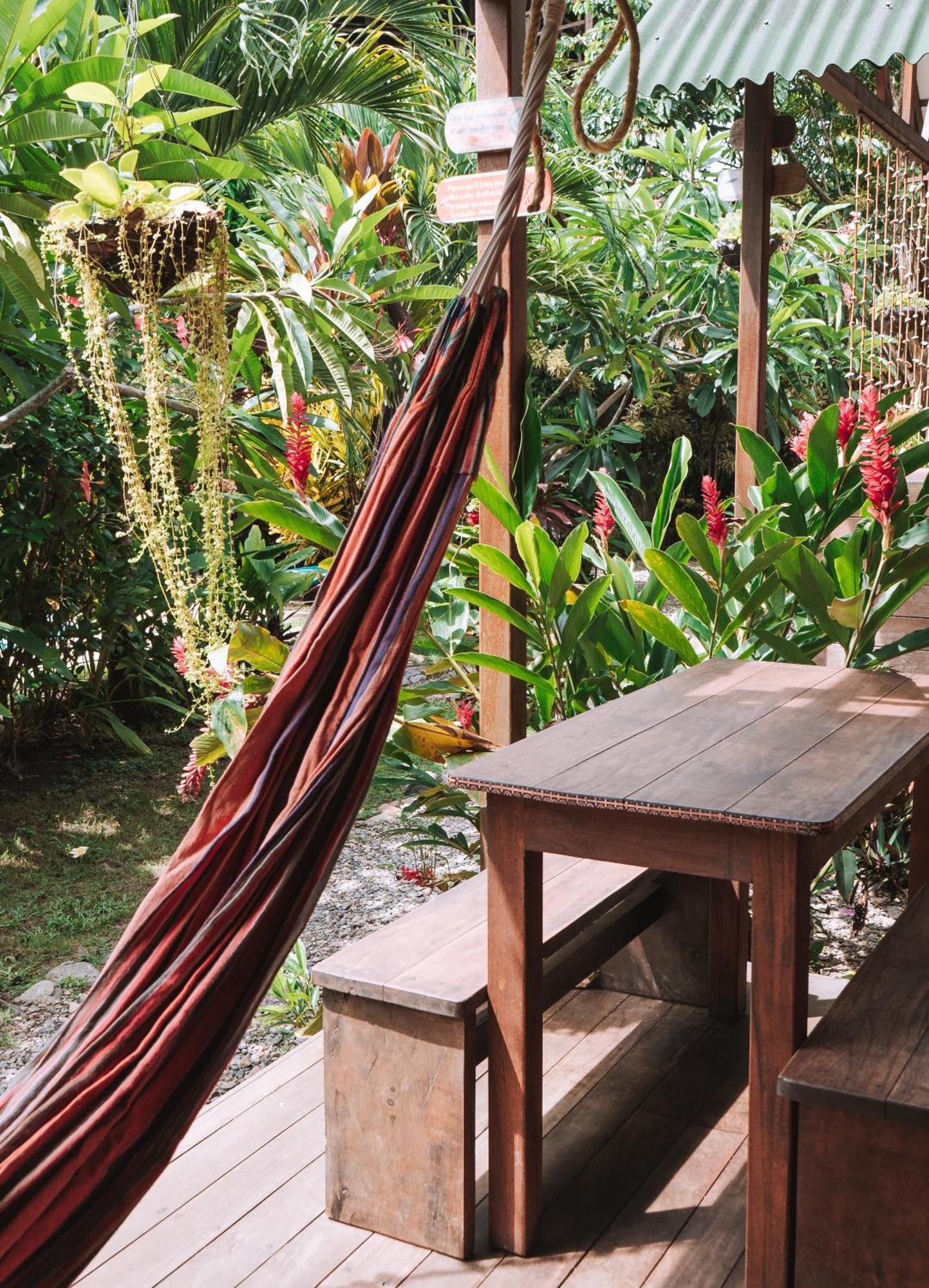 Nuba Boutique Hostel Palomino Ngoại thất bức ảnh