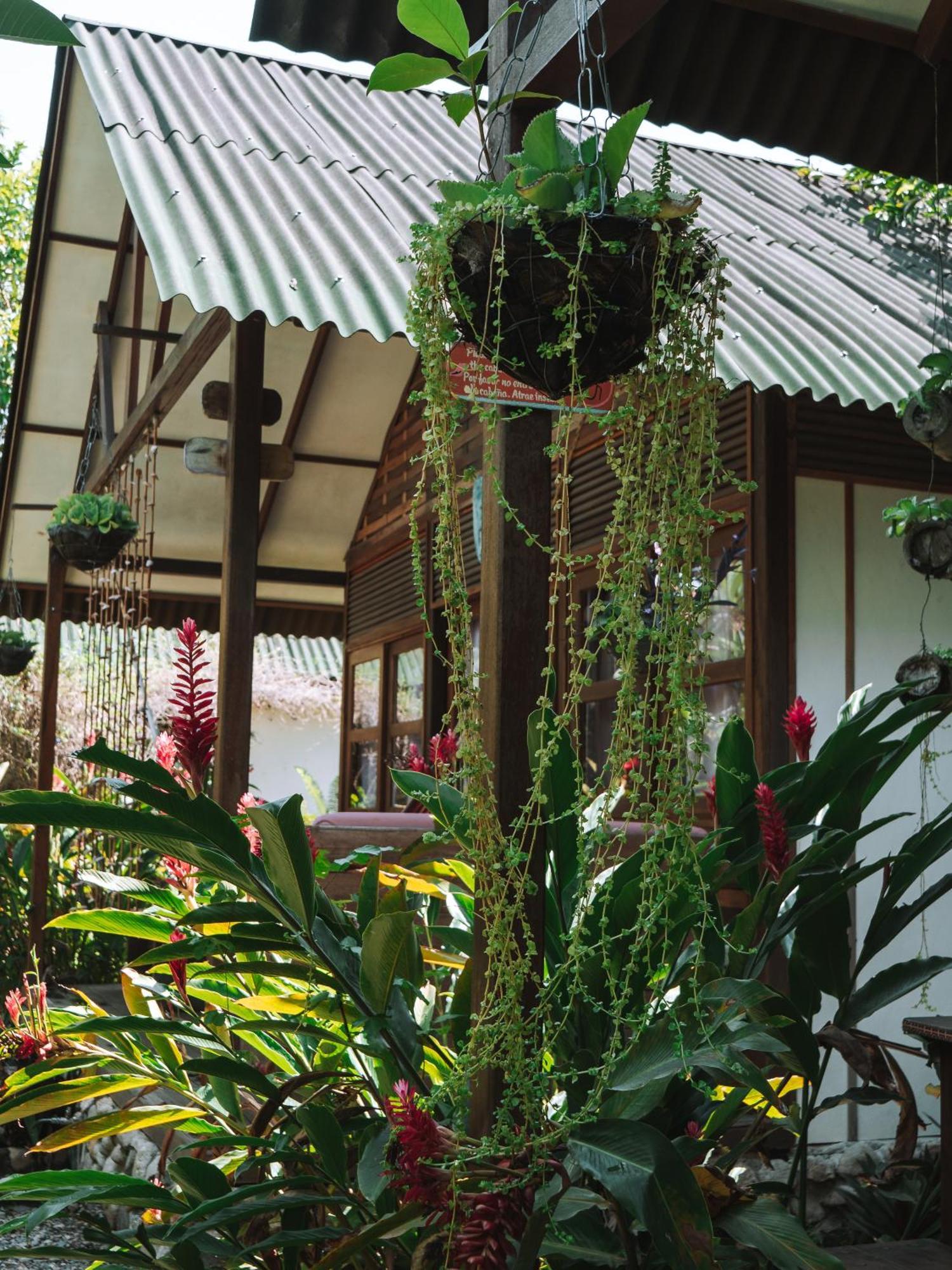 Nuba Boutique Hostel Palomino Ngoại thất bức ảnh