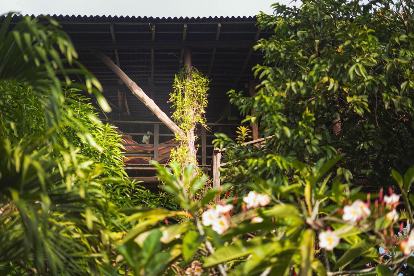 Nuba Boutique Hostel Palomino Ngoại thất bức ảnh